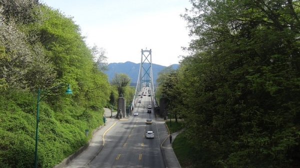 The Lionsgate Bridge from Stanley Park