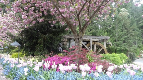 Things to do in Victoria BC Butchart Gardens Victoria