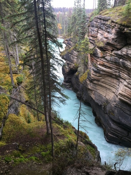 The gorge at Athabasca Falls