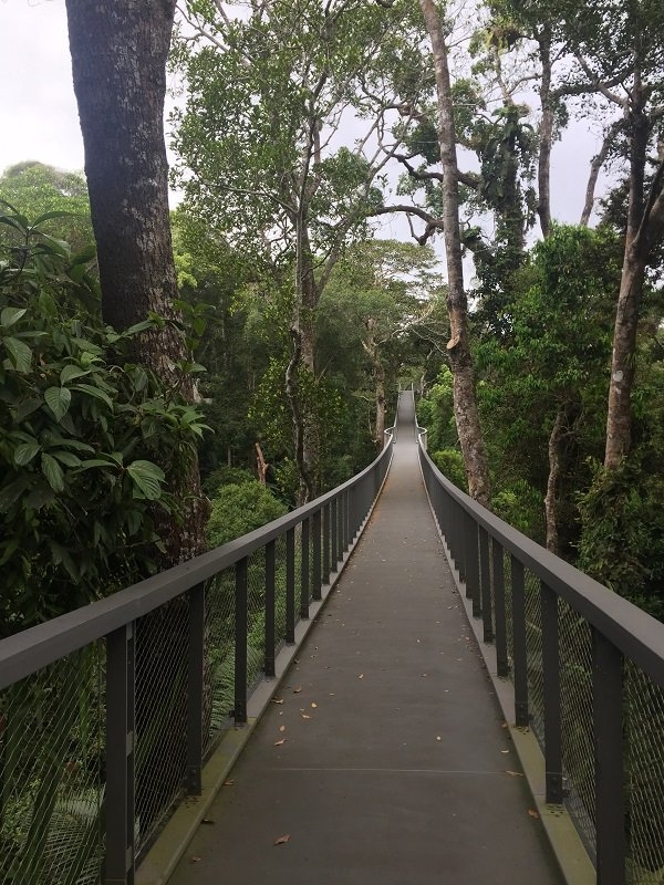 Habitat Walkway