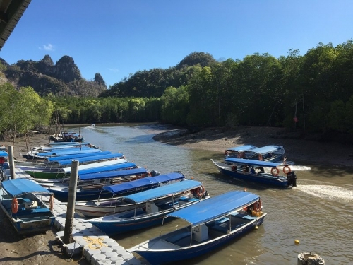 Tour Boats waiting at the jetty